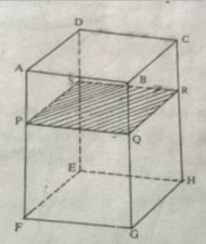 surface area of cuboid