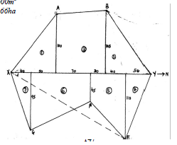 scale 12q