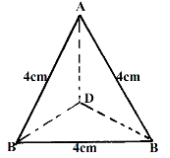 surface area q2