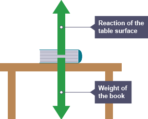 action reaction forces