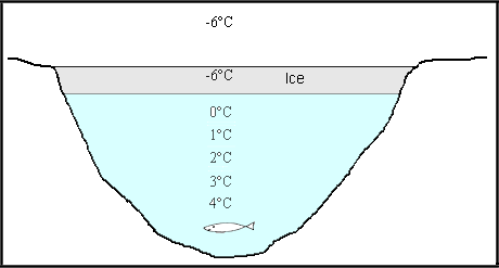 anomalous expansion of water pond