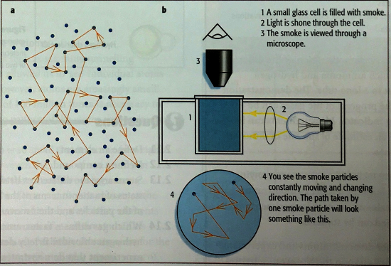 brownian motion in gases experiment