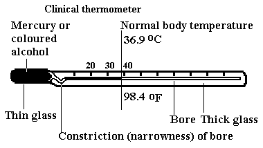 clinical thermometer