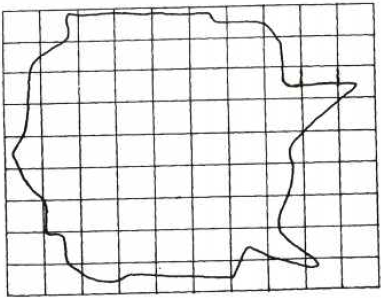 estimating areas of irregular shapes