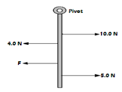 half meter rule vertical