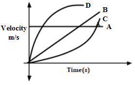 velocity time graph