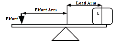 lever system