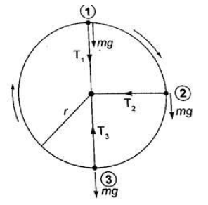 motion in a vertical circle