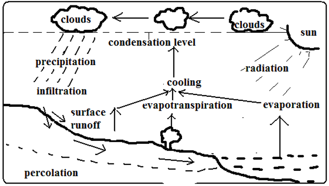 hydrological cycle.PNG