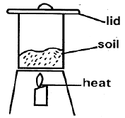 SCIENCE SET 1 Q24