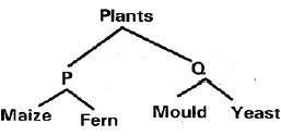 SCIENCE SET 1 Q45