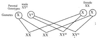 BioCS2011p2qa2a