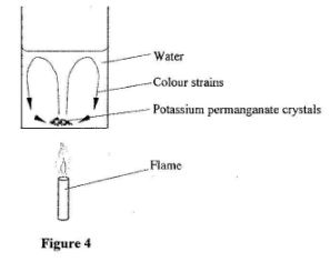 GenscibioCS2011p1q26