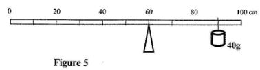 GenscibioCS2011p1q27