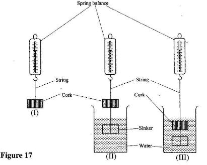 PhycCS2011p1q19c