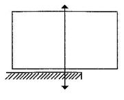 PhycCS2011p1qa11