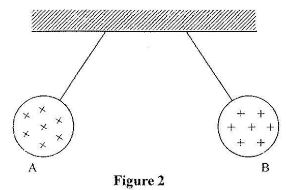 PhycCS2011p2qa2