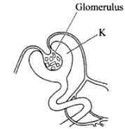 GenSciCSE2016p1q6