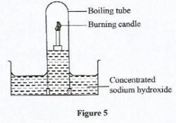 GensciCSEp1q23