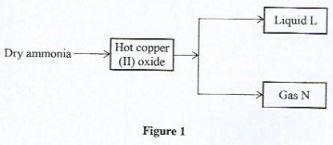 GensciCSEp2q12