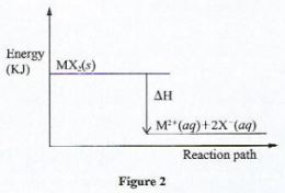 GensciCSEp2q16a