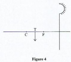 GensciCSEp2q21b