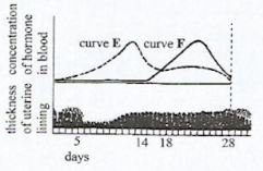 GensciCSEp2q3