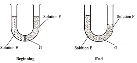 q4 bio p1 2019