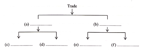 bst paper 1 q8 2019