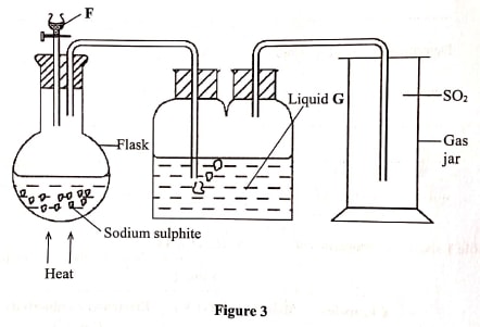 q9 chemp1 2019