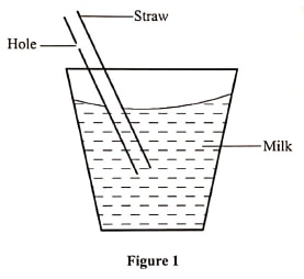 figure 1 phy p1