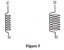 figure 5 phy p1