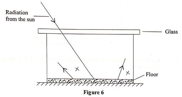 figure 6 phy p2