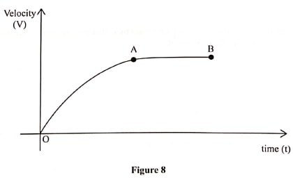 figure 8 phy p1