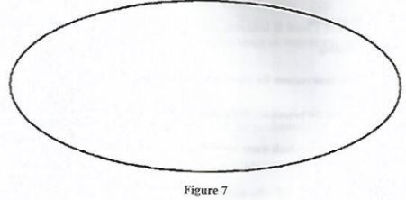 WoodWkCSE2019p1q13b