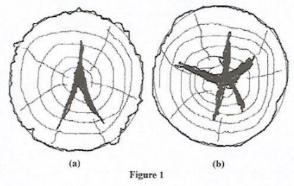 WoodWkCSE2019p1q2a