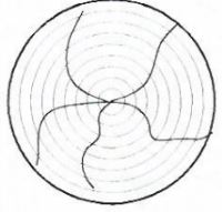 WoodWkCSE2019p1qa12c