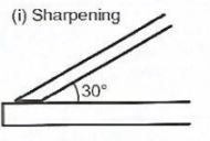 WoodWkCSE2019p1qa15a