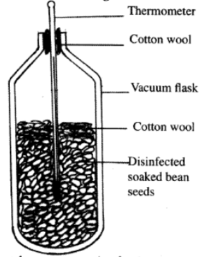 experiment kcse 10