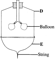 breathing in mammals KCSE 2014