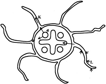 crossection of root KCSE 2014