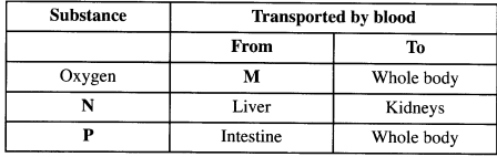 Transportation in human bodies KCSE 2014