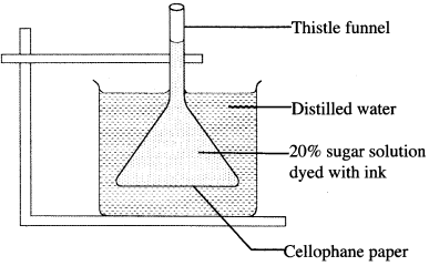 Osmosis KCSE 2014