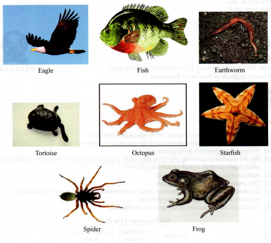 Dichotomous Tree KCSE 15 Practicals