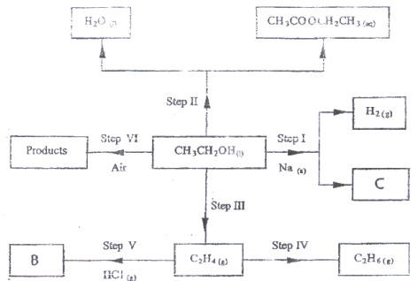 flow chart kcse 2009