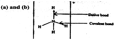 dative and covalent bond