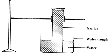 Chlorine water KCSE 2014