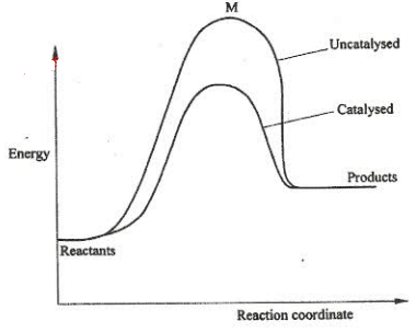 effect of catalyst on reaction path kcse 2009