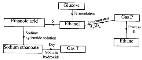 organic chemistry