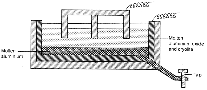 electrolytic cell